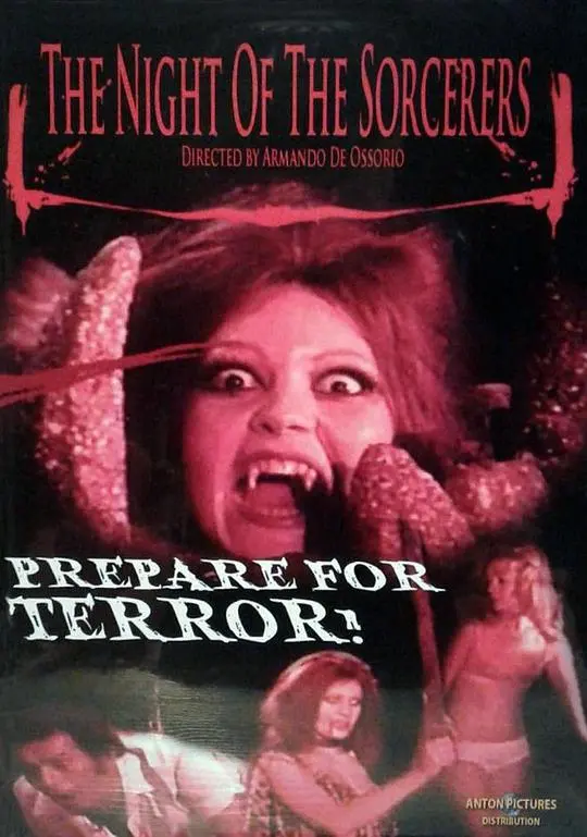 《黑夜巫师》：暗夜中的神秘力量，看巫师如何对抗邪恶，守护光明！