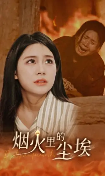 探索《烟火里的尘埃》：一部关于人生烟火与尘埃的深刻情感之旅