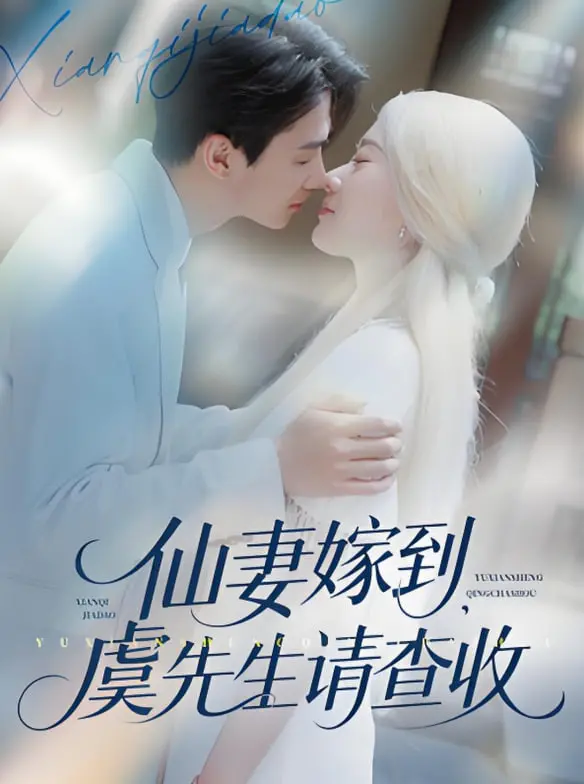 《仙妻嫁到，虞先生请查收》：仙凡恋的浪漫奇遇，搞笑又温馨的甜蜜爱情故事