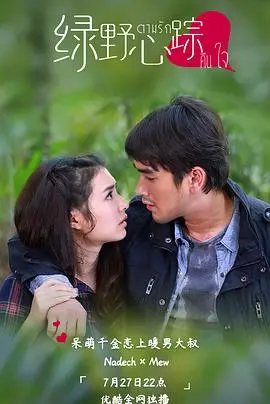 《绿野心踪》：迷雾中的都市情爱谜局，爱与谎言交织的暧昧心跳！