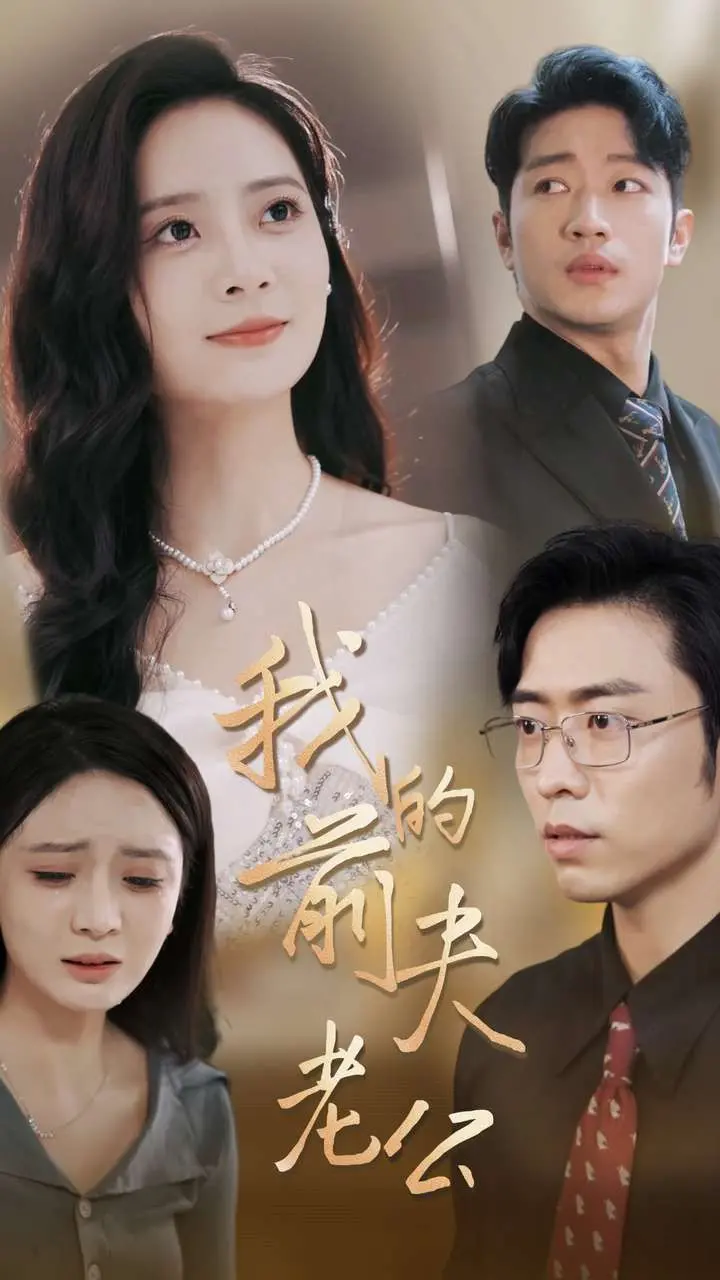 我的前夫老公：离婚后重逢的搞笑与感人历程